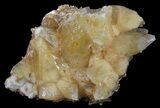 Dogtooth Calcite Crystal Cluster - Morocco #61233-2